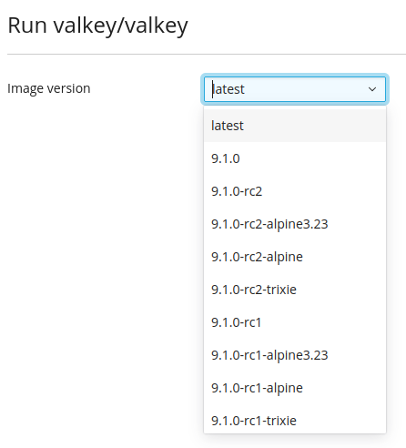 ValkeyVersion Image tag search results including both numbered, named and latest versions