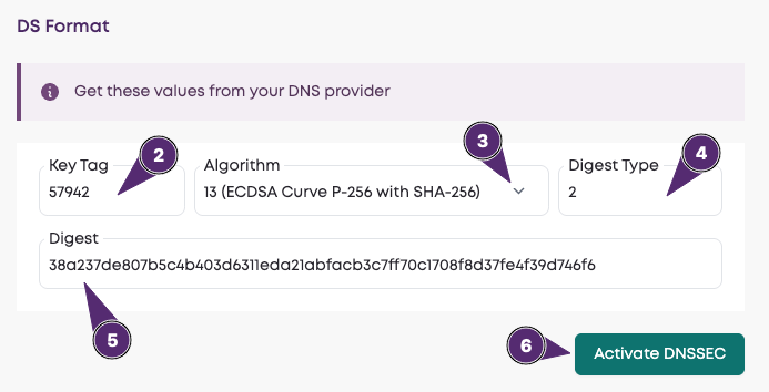 DS record fields screenshot in Layershift Customer Dashboard